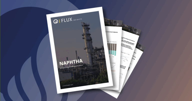 Naphtha Report cover
